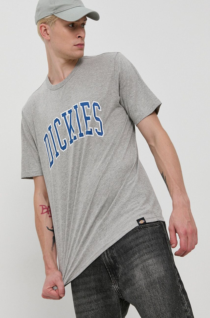 Dickies t-shirt - Pepit.hu