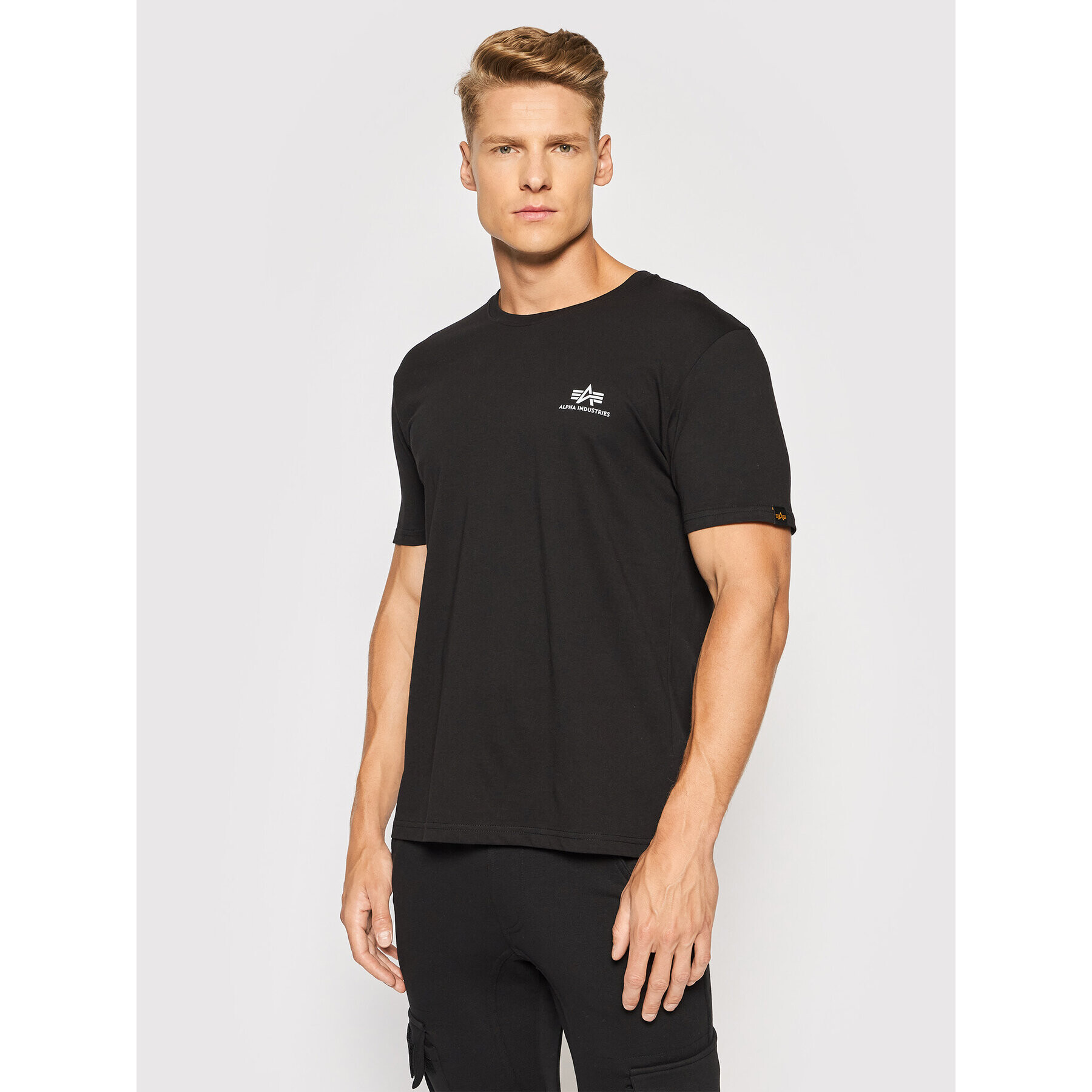 Alpha Industries Póló Backprint T Reflective Print 128507RP Fekete Regular Fit - Pepit.hu